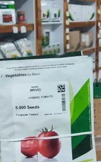 پخش بذر بریویو اورجین