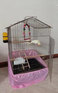 قفس بزرگ پرنده