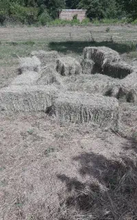 پرس گیاه و یونجه