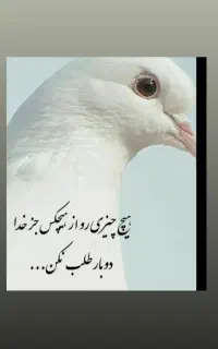 خط تلفن ثابت رند