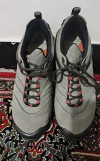 کفش مرل