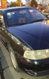 گل مدل ۱۳۸۶ ،