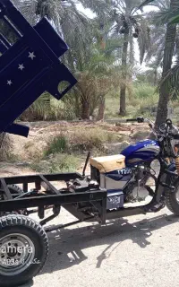 شادگان