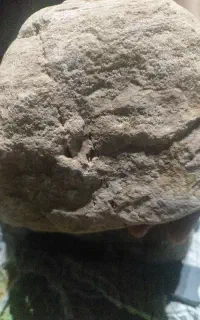 شهاب سنگ