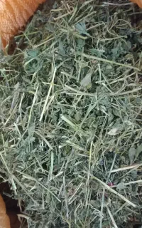 غذای خرگوش و خوکچه یونجه اعلا صادراتی