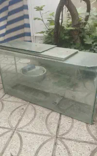 اکواریوم