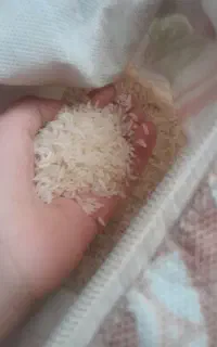 برنج شمال حدود ۱۳کیلو