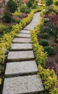 انجام کلیه خدمات باغبانی و سم پاشی