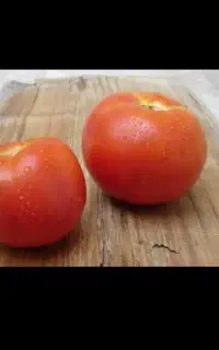 گوجه فرنگی