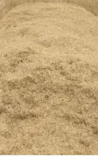 ۷۰۰ ۸۰۰کیلو کاه گندم نرم درجه ۱ شادکام کیلو ۱۰