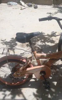 دوتا دوچرخه ۲۰و۱۶