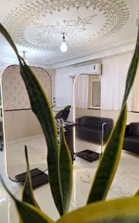 آینه طرح پروکسی استاده