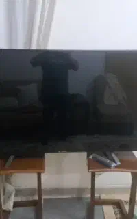 تلوزیون ۵۵ اینچ اسنوا چکی