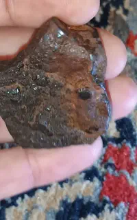 شهاب سنگ ماه مریخ ا