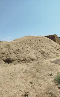 کاه گندم