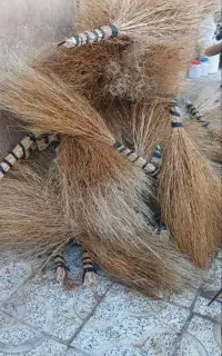 جارو شهرداری