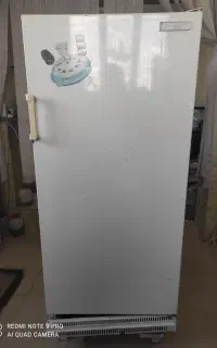 یخچال بوژان موتور نو به ضمانت