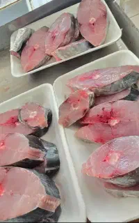 ماهی فروشی هادی