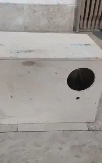 لونه پرنده