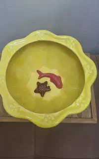 حوض ماهی سفالی