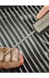 گریل برقی حرفه ای گاستروبک آلمان اصل
