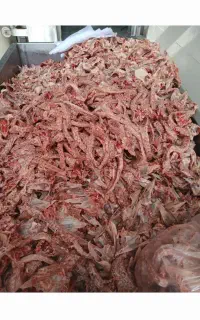 اسکلت مرغ غذای حیوانات خانگی غذای سگ