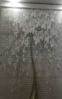 پرده زبرا سه بعدی نو نو