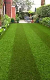 چمن مصنوعی و فنس چمنی