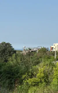 استخدام نگهبان