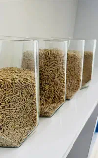دان مرغ تخم گذار
