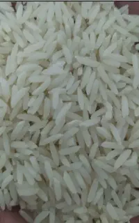 برنج هاشمی الموت کلی وجزی