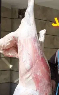 قصاب