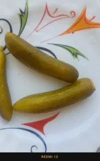 خیارشور سرکه ای