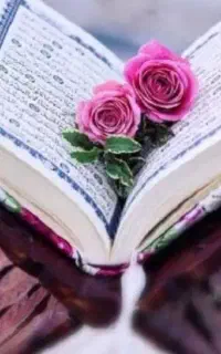فروش کتاب سیده هستم ۱۵۰ هزار