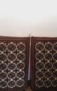دو جفت پشتی