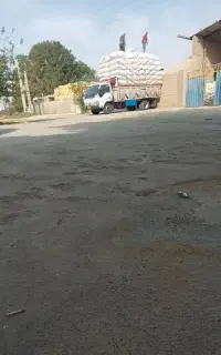 فروش کاه دیم گندم و جو