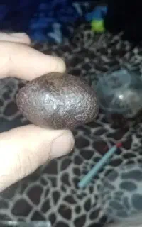 شهاب سنگ مریخی شناسنامه دار