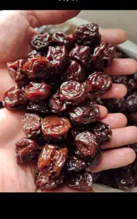 فروش آلوچه طلای و آلوچه سیاه