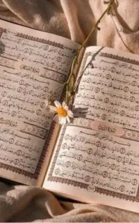 استخاره سرکتاب قرآنی