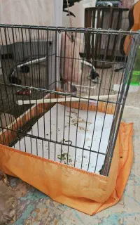قفس پرنده متوسط