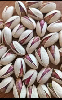 خرما، پسته و زعفران اصل کرمان