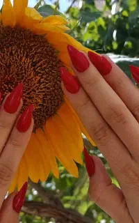 کاشت و ترمیم حرفه ای ناخن با قیمت پایین