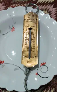 ترازوی دستی