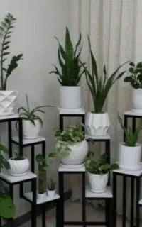 تولید استند و پایه گلدان