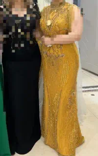 پنل مجلسی