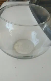 شیشه ماهی