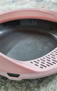 ظرف خاک و خاک گربه
