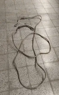 طناب بکسل