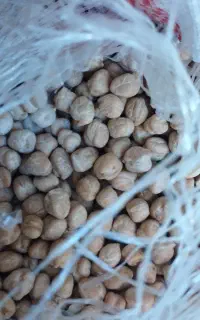 خرید و فروش نخود