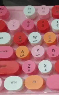 کافی نت نتکده،